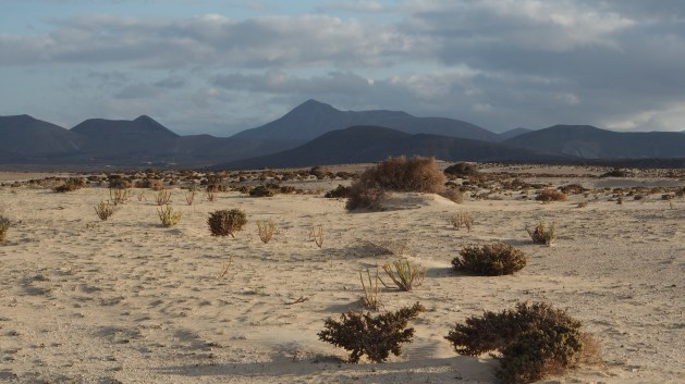 Parque Natural Corralejo