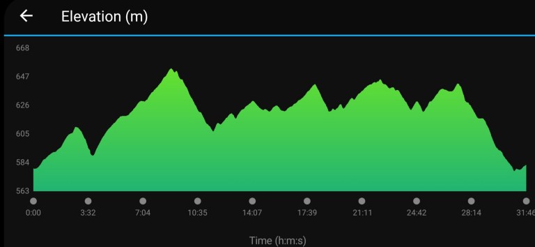 Bare Burro 5k Elevation Chart